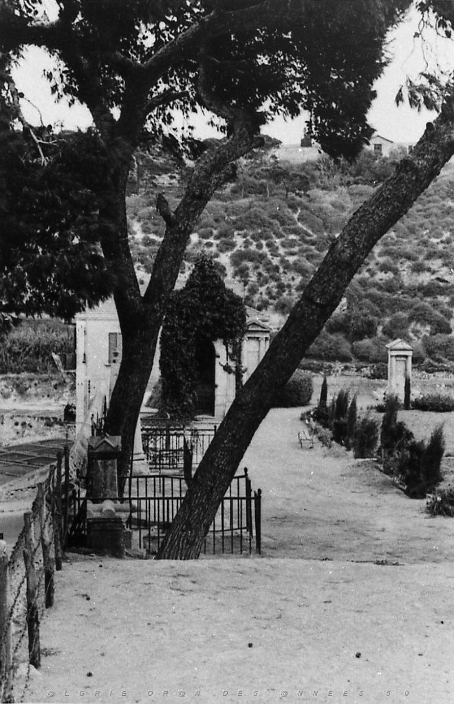 ORAN 02417.jpg